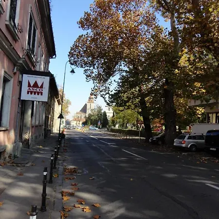 Saguna House Гостьовий будинок